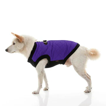 Bomber Vest: Violet