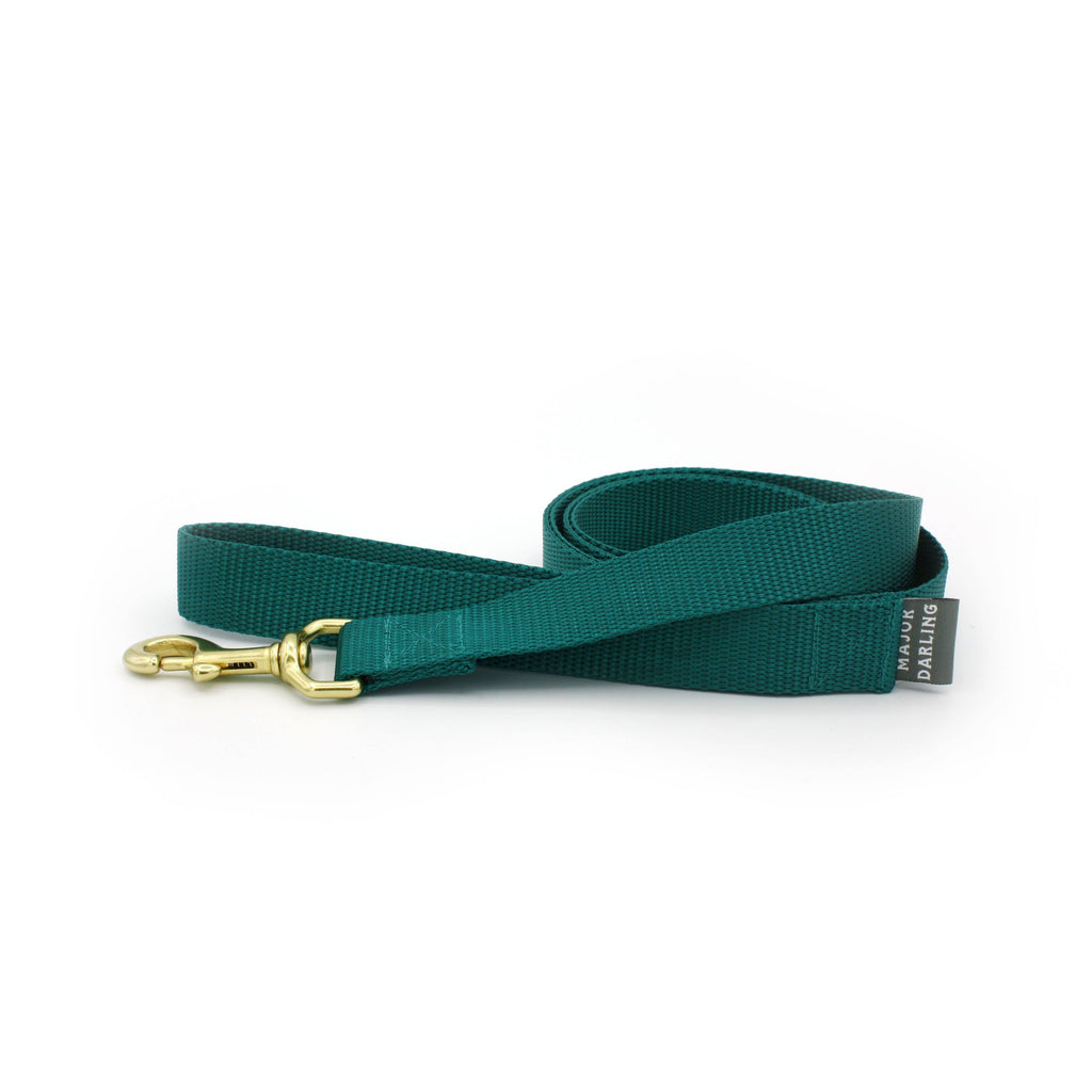 Basic Leash: Teal / Standard (1" wide)