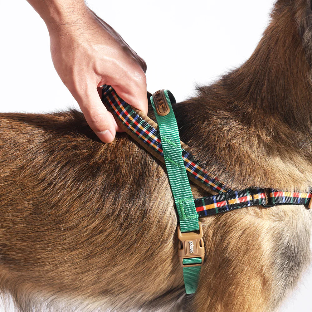 Travis | SofterWalk Harness