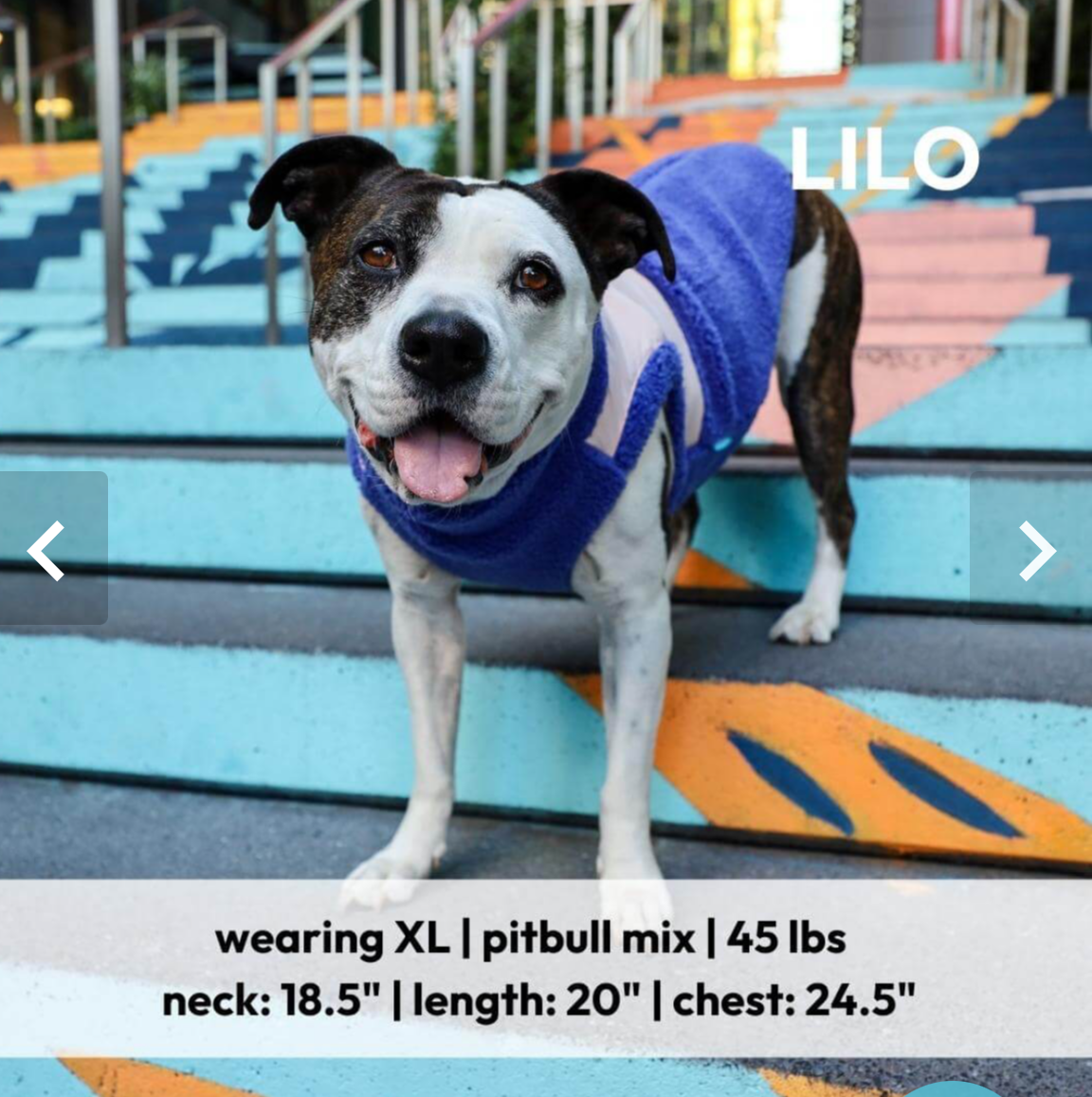 Zip Up Sherpa Vest: Forest Green