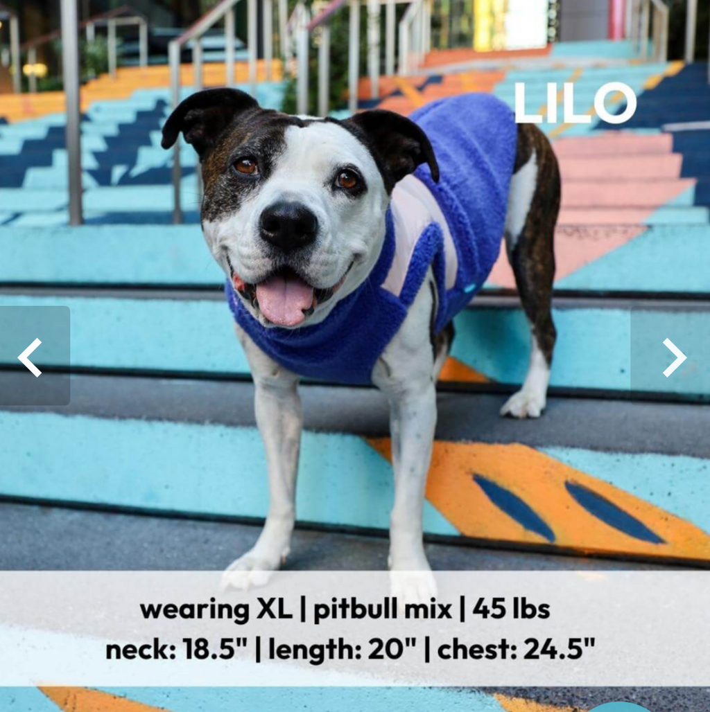 Zip Up Sherpa Vest: Purple