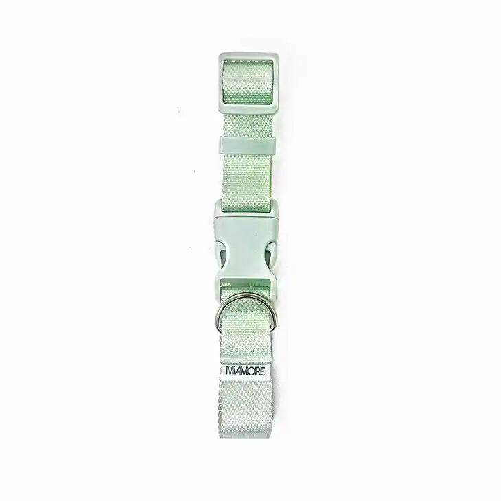Amore Dog Collar in Mint Green