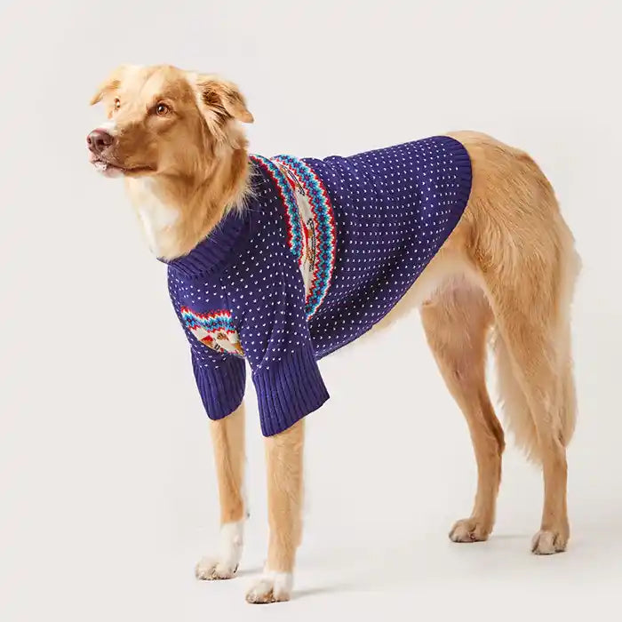 Gray Malin Hit the Slopes Dog Sweater