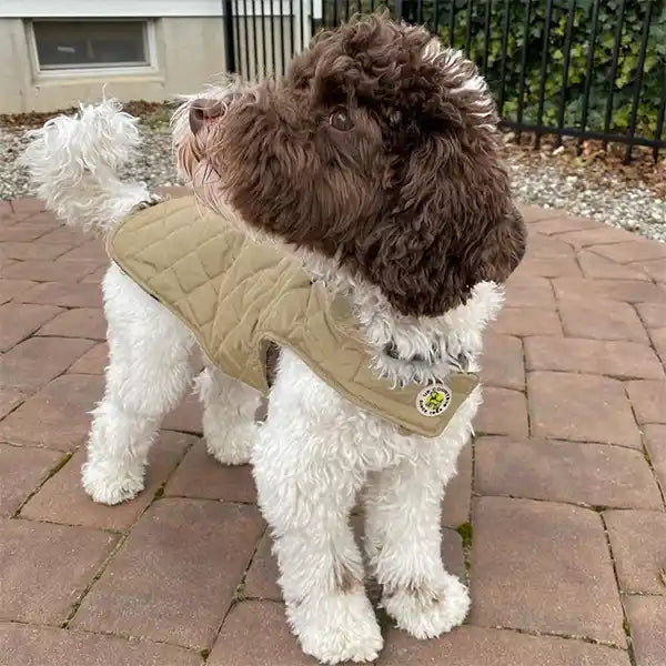 Diamond Quilted Dog Coat