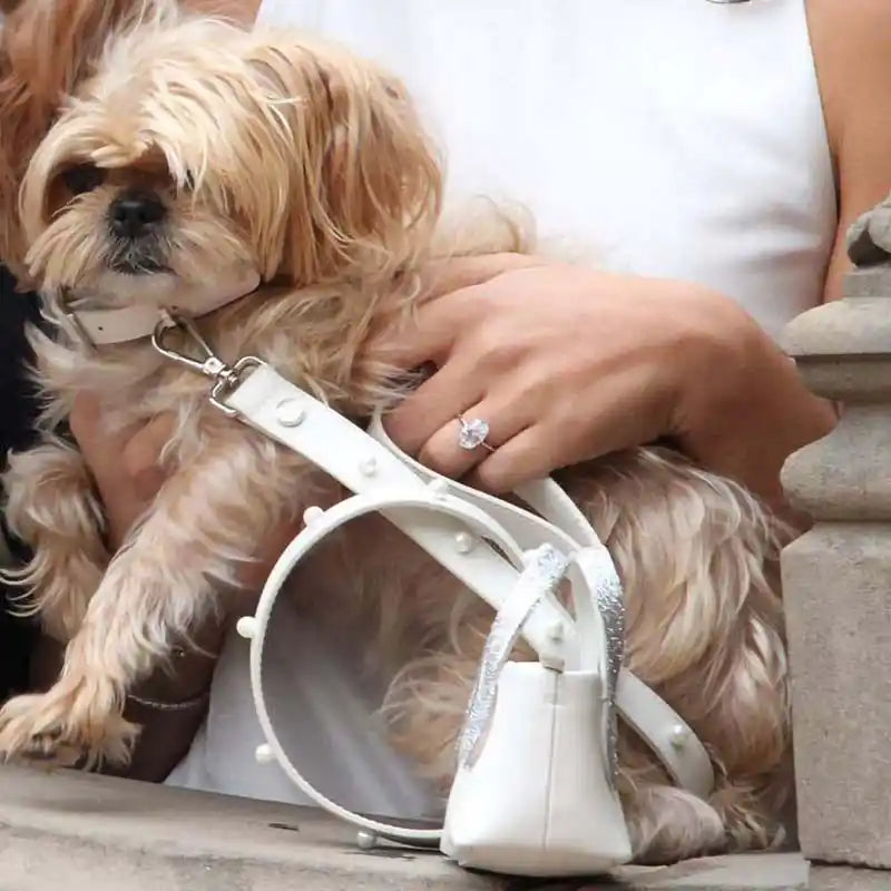 Essi White Leather Dog Leash