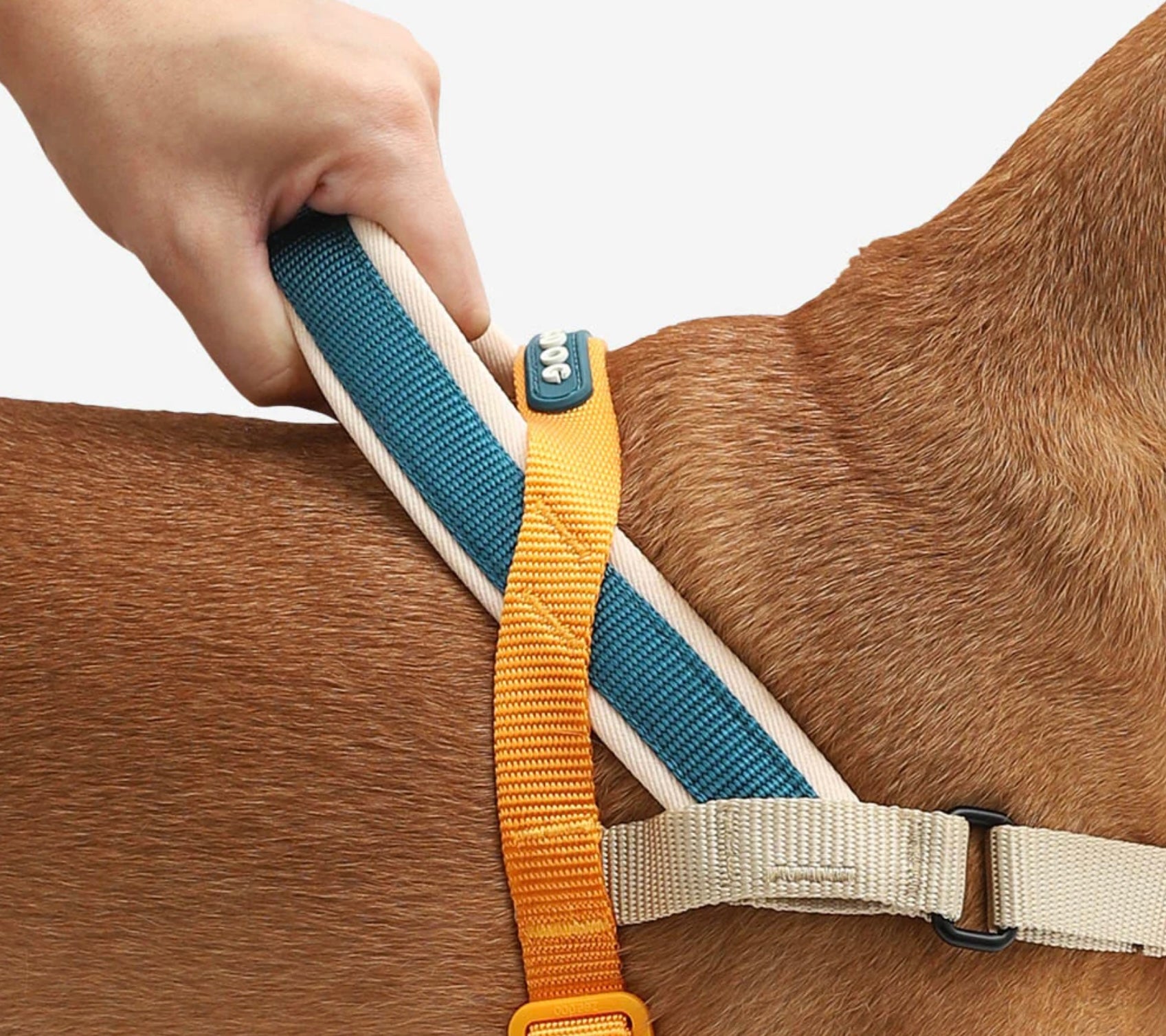 Voyager | SofterWalk Harness