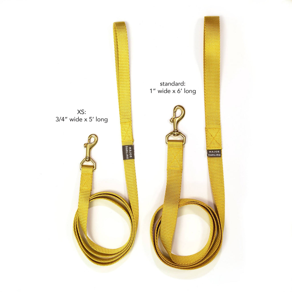 Basic Leash: Cobalt / Standard (1" wide)