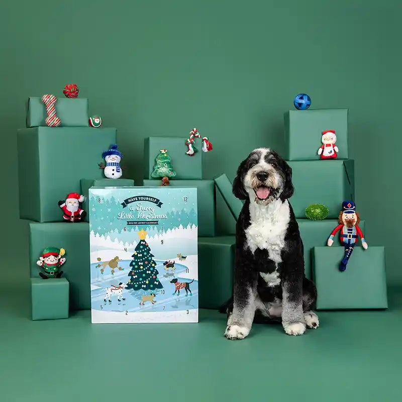 Furry Lil Chrismas Pet Advent Calendar