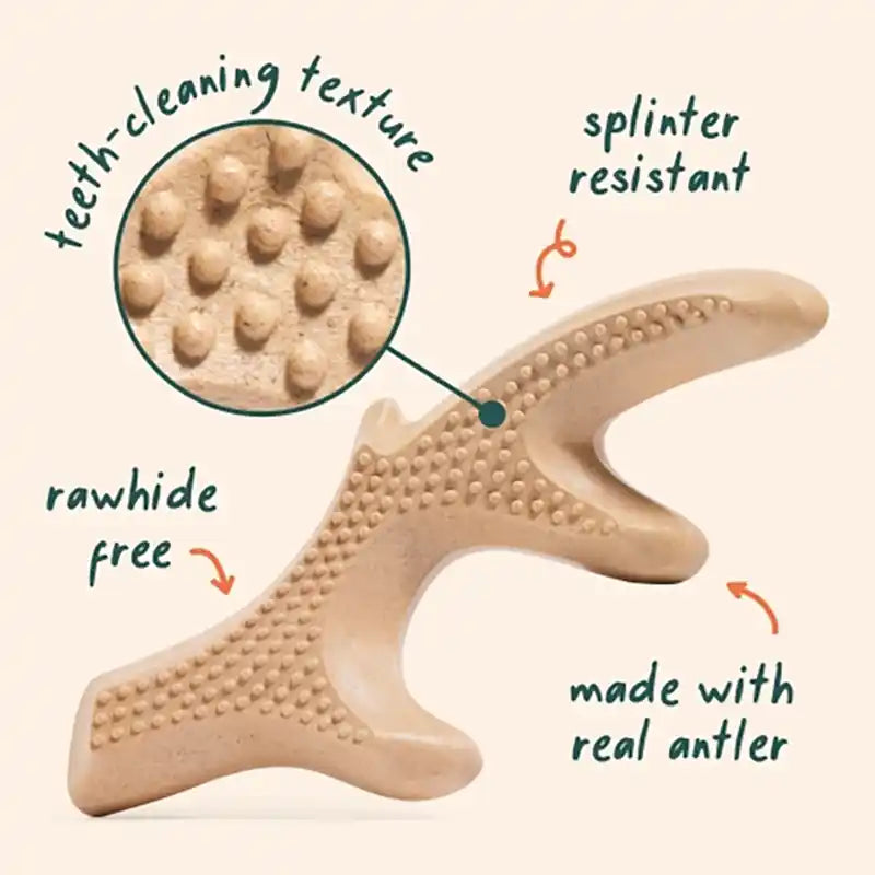 HonestChew Dog Chew Toy