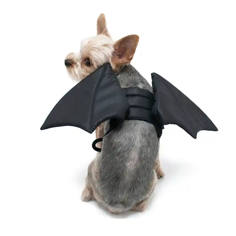 Bat Wings Pet Costume
