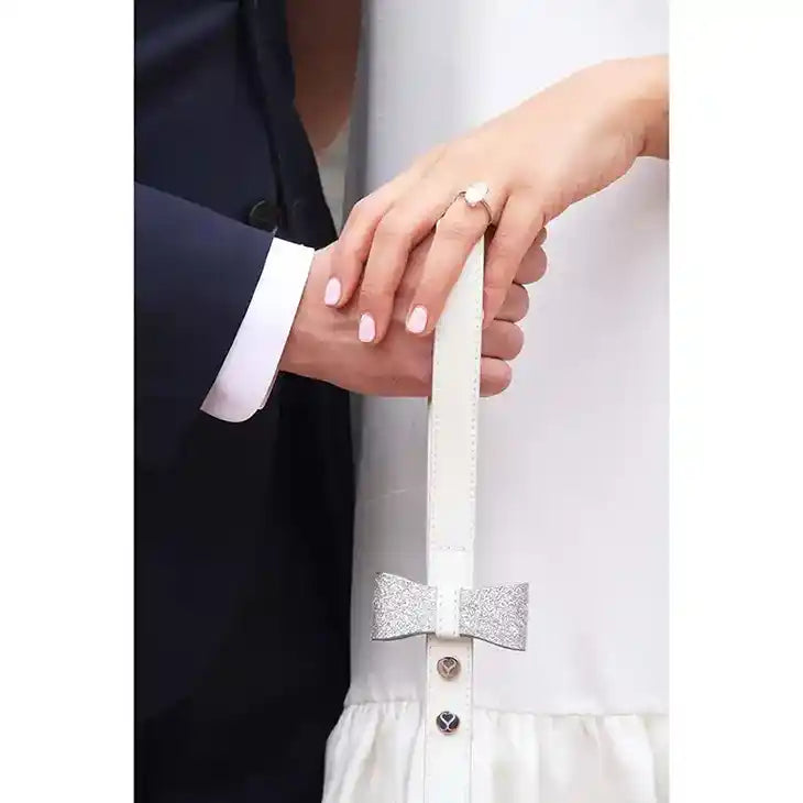 Ben Leather Dog Leash