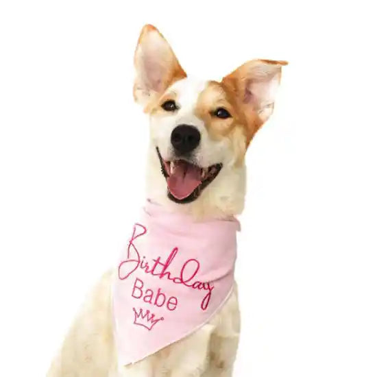 Birthday Babe Dog Bandana