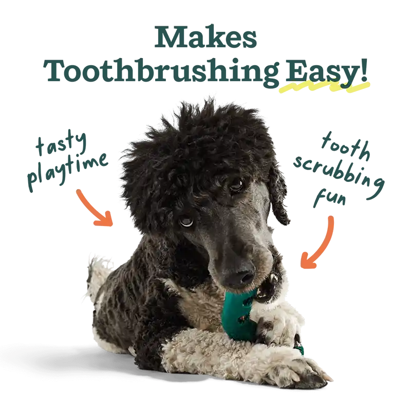 Bite N' Brush Toothbrushing Dog Toy
