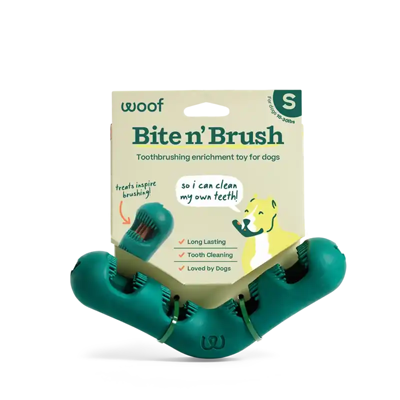 Bite N' Brush Toothbrushing Dog Toy