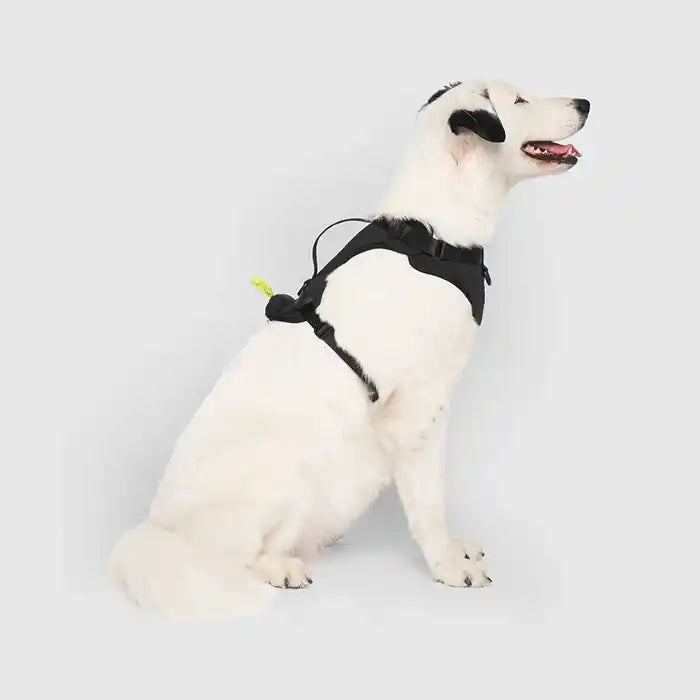 Everything Neoprene Harness with Built-in Poo Bag Dispenser