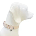 Amore Dog Collar in Petal Pink