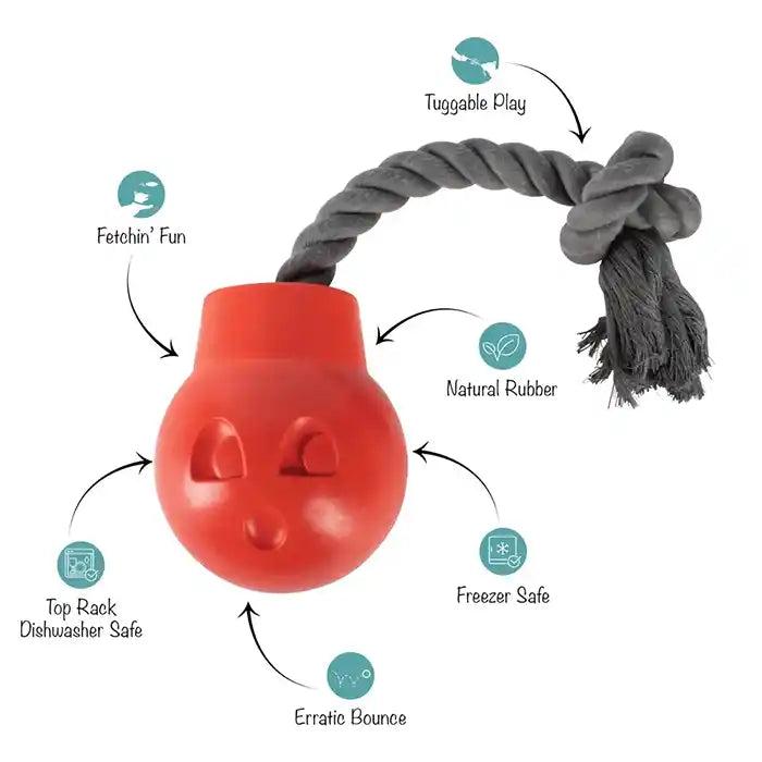 'You Da Bomb' Rubber Dog Tough Toy