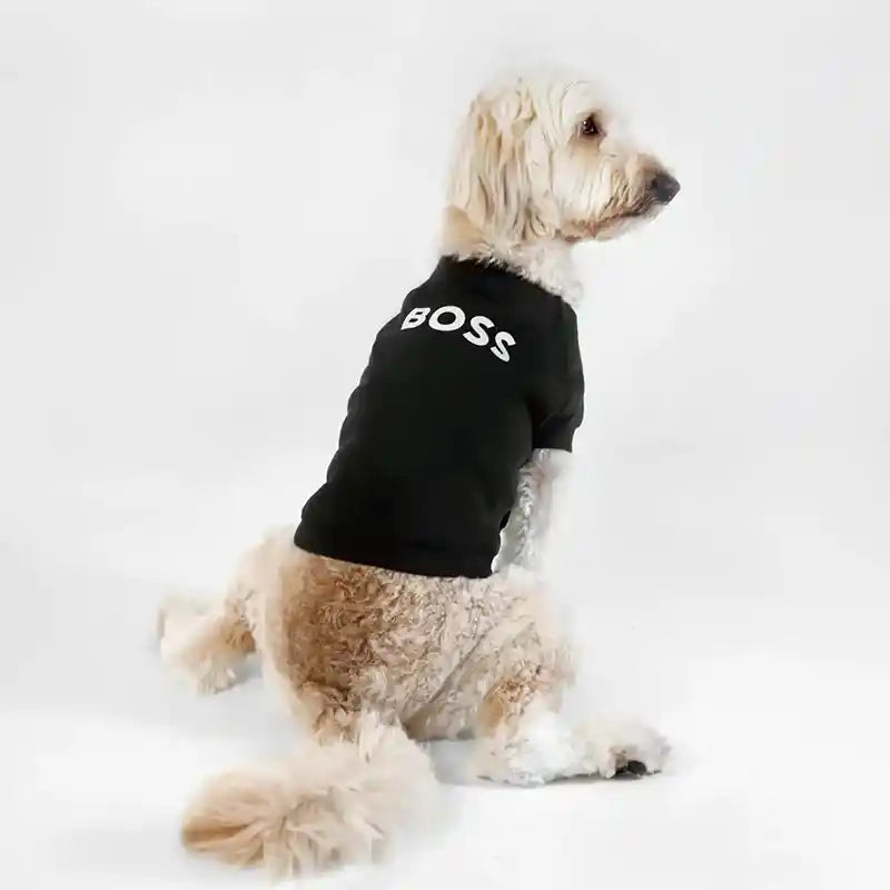 BOSS Dog Sweater