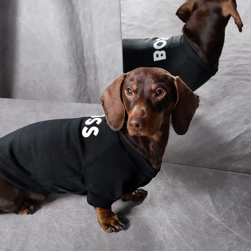 BOSS Dog Sweater