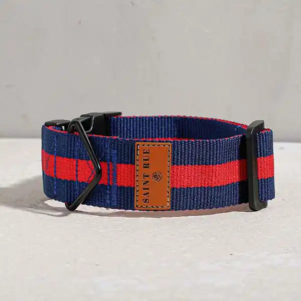 The City Dog Collar