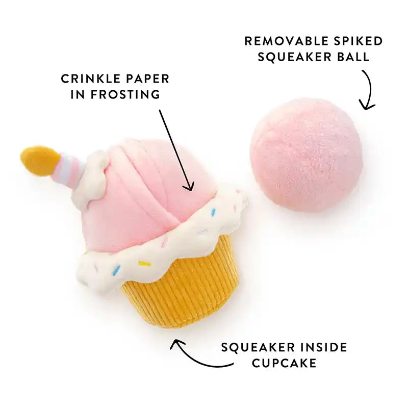 Birthday Cupcake 2-in-1 Bounce Dog Toy