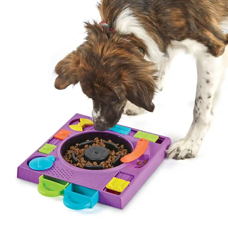 Dj Turntable Dog Puzzle Feeder