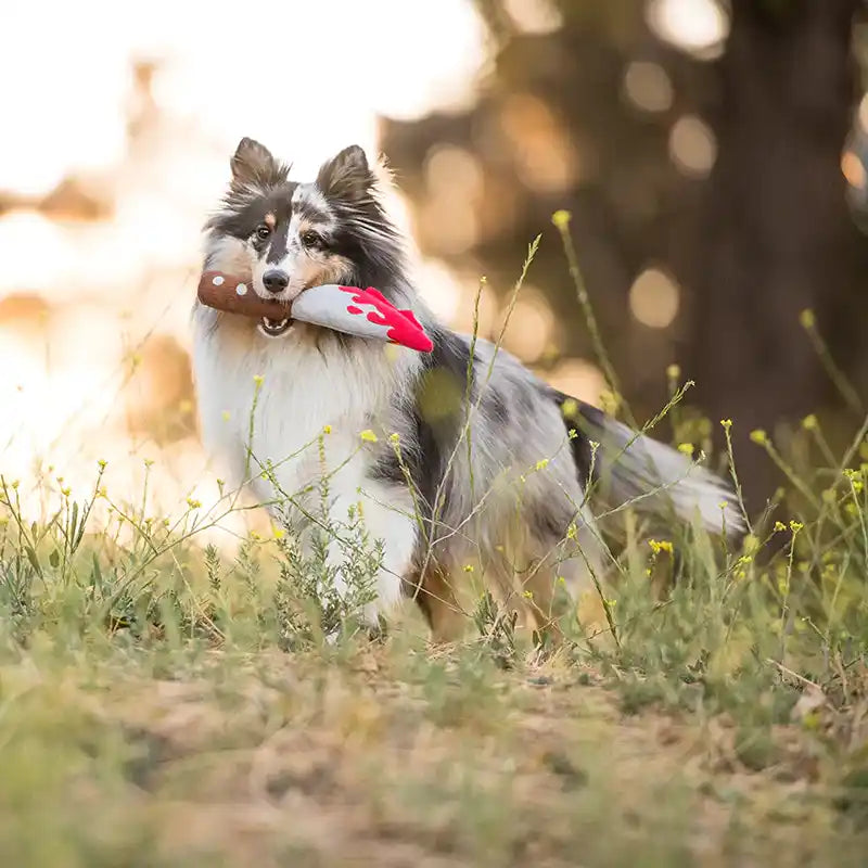 Doggy Dagger Squeaky Crinkle Dog Toy