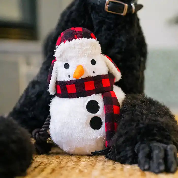 Snowman Dog Toy