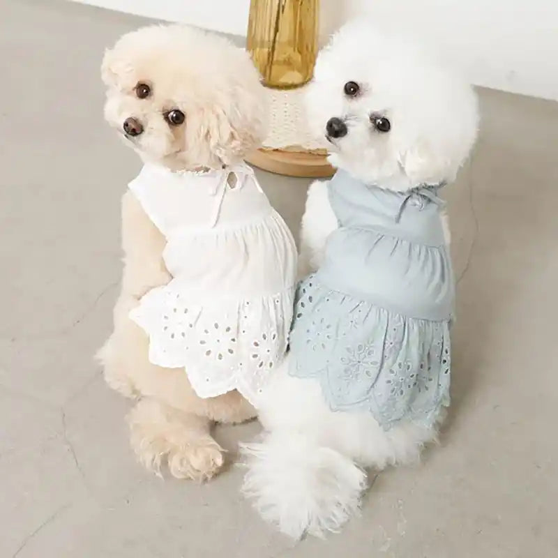 Tiered Eyelet Dog Dress with Cooling Effect
