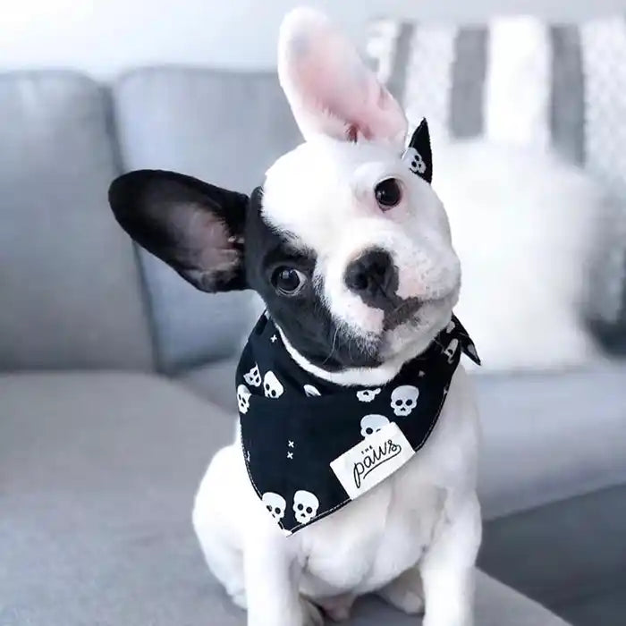 Skulls Dog Bandana