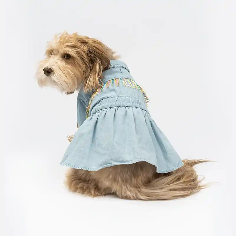 Fringe Denim Dog Dress