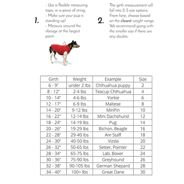 Sun Shield Dog Shirt