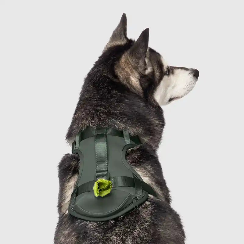Everything Neoprene Harness with Built-in Poo Bag Dispenser