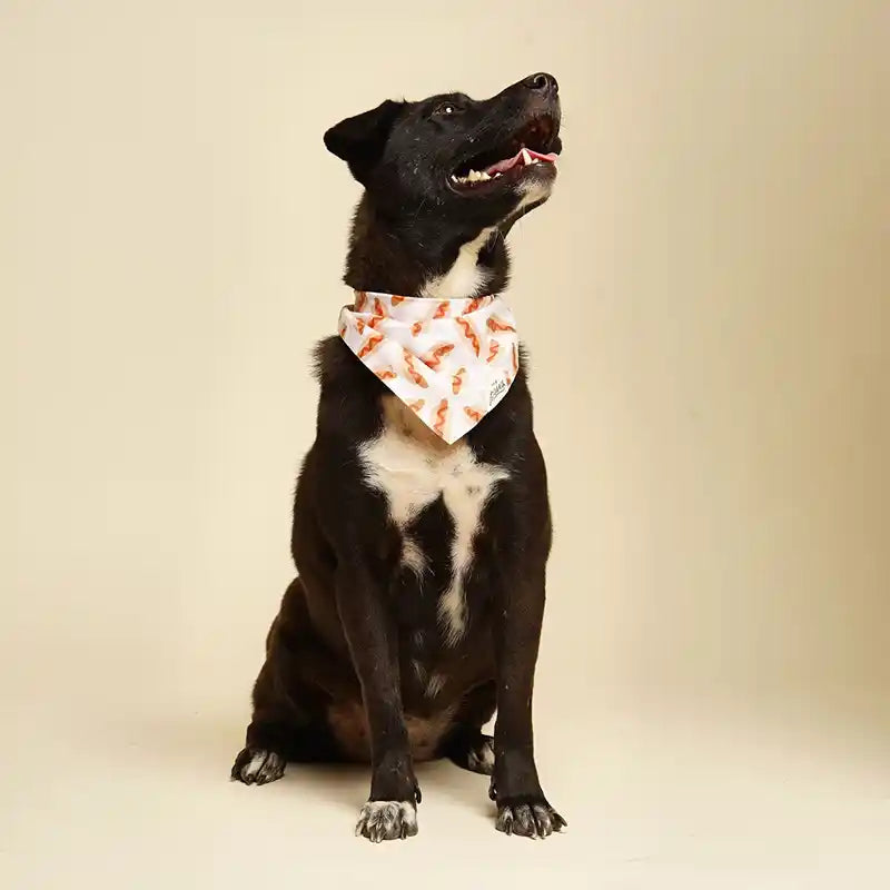 Hot Dog Pet Bandana