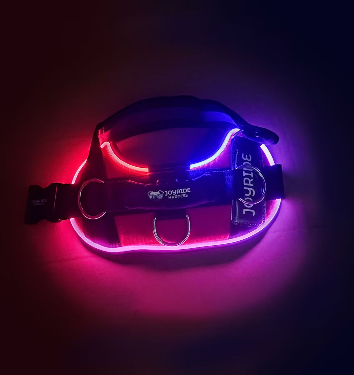 NightSafe LED Light Up Dog Harness 2.0