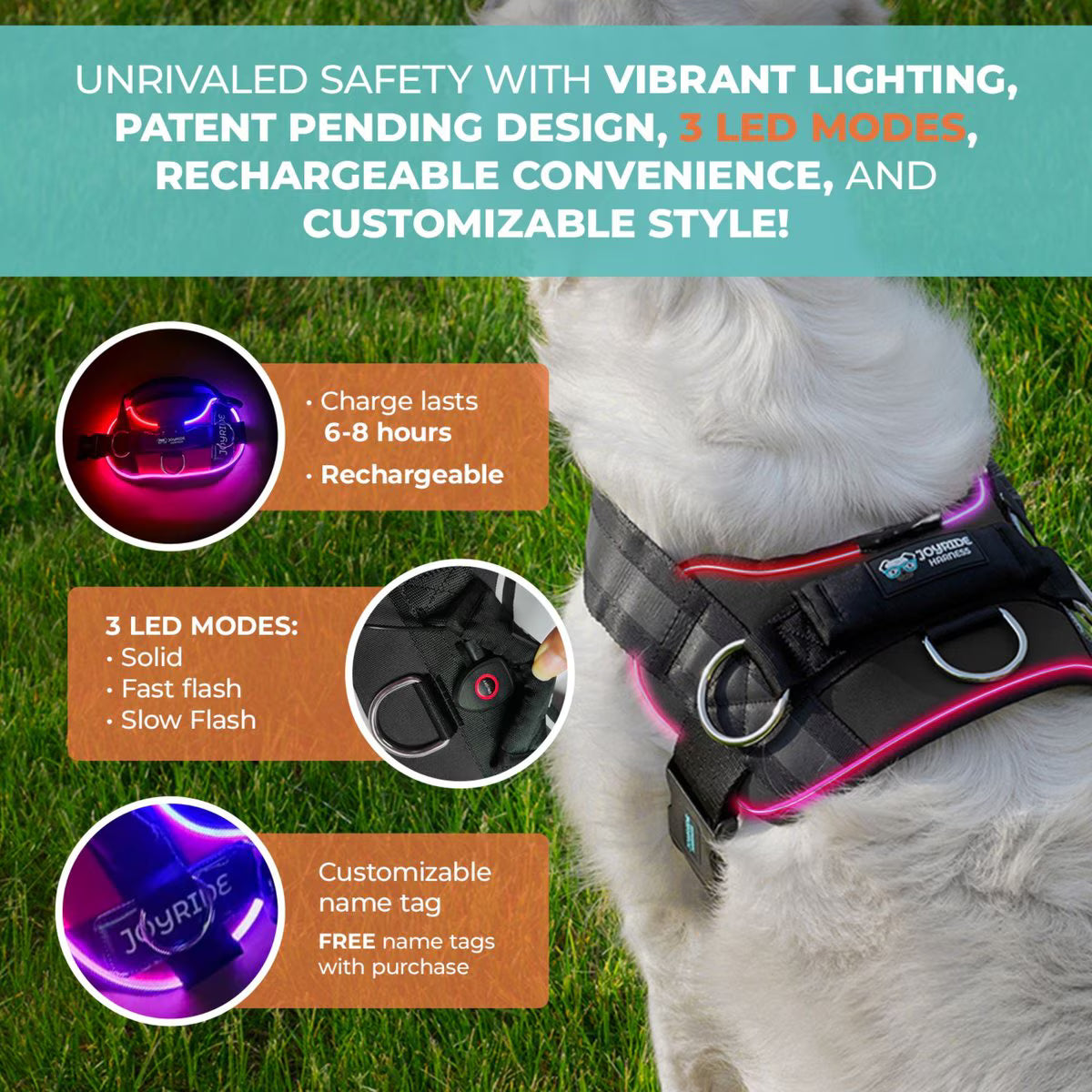 NightSafe LED Light Up Dog Harness 2.0