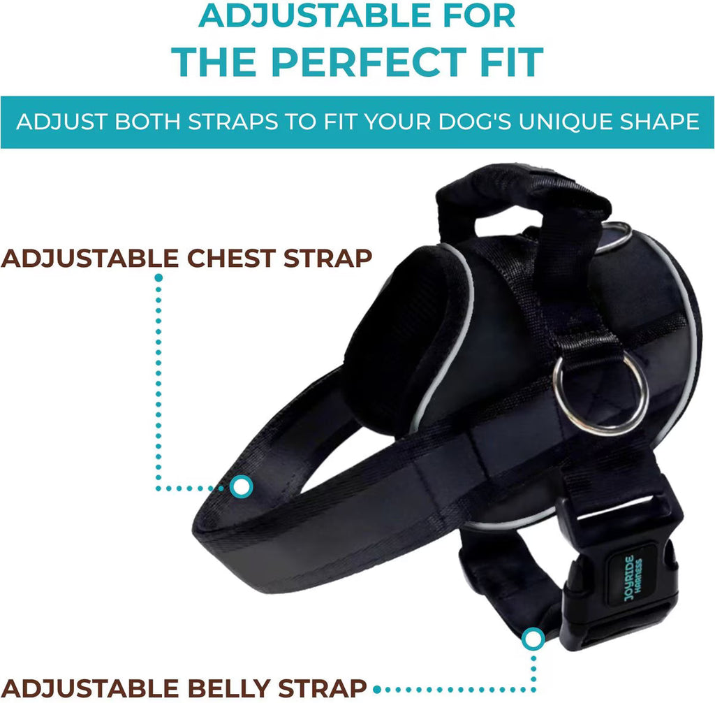 NightSafe LED Light Up Dog Harness 2.0