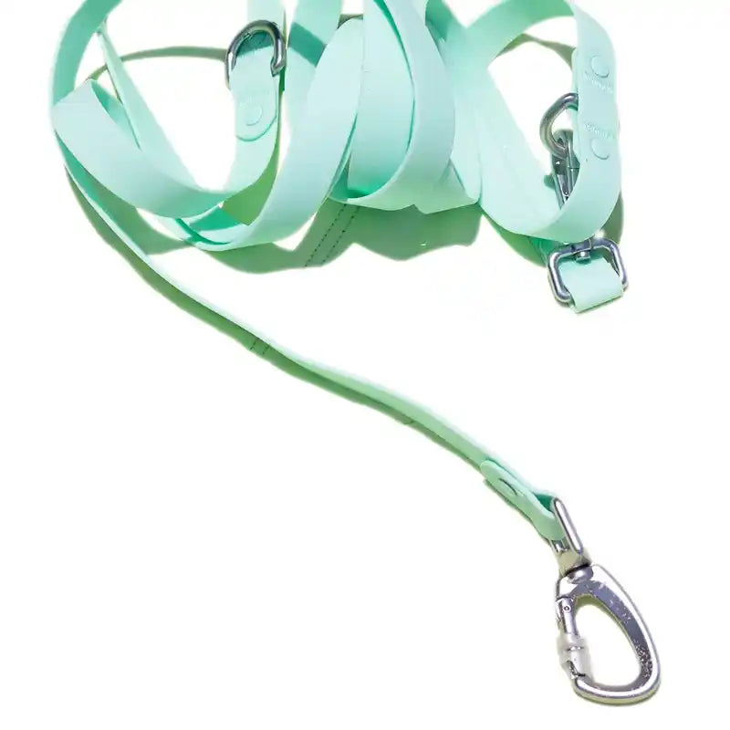 Roam Jelly Hands Free Crossbody Leash