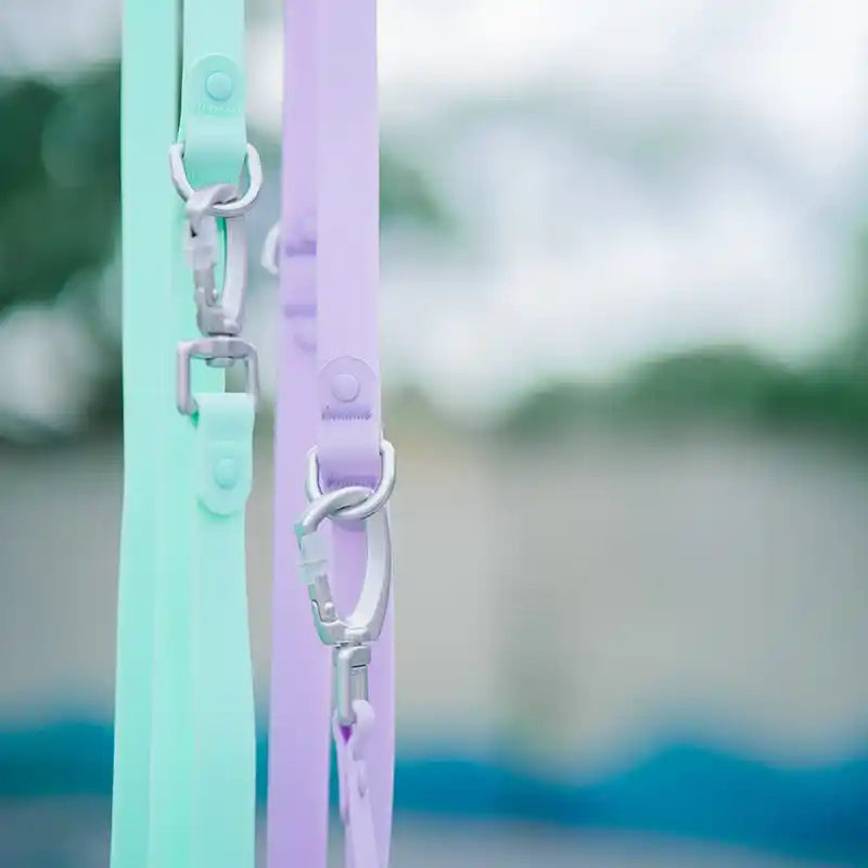 Roam Jelly Hands Free Crossbody Leash