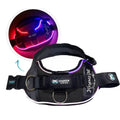 NightSafe LED Light Up Dog Harness 2.0