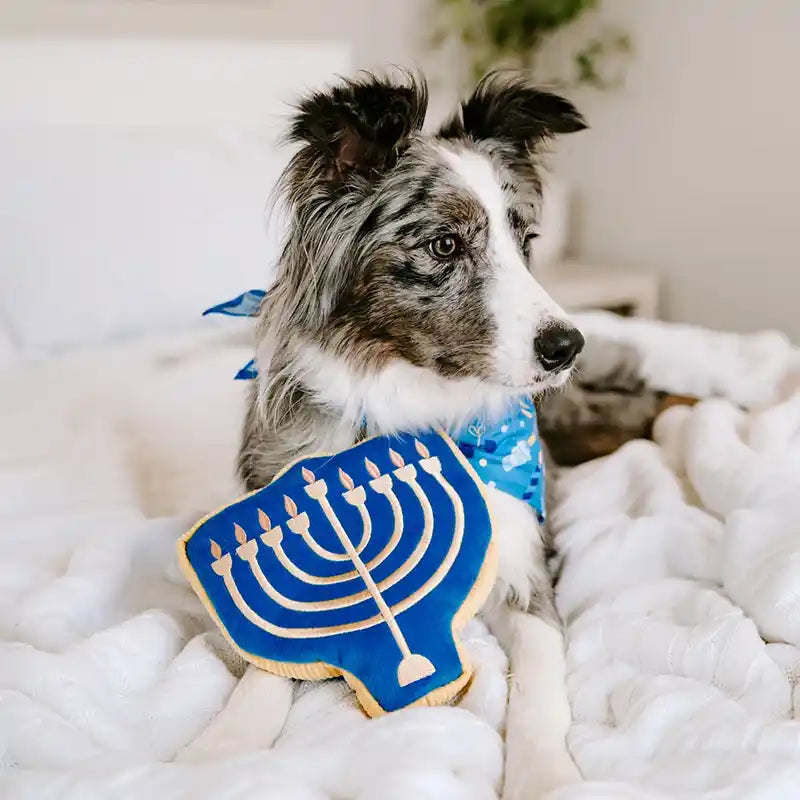 Hanukkah Squeakie Pattiez - Menorah - Holiday Dog Toy