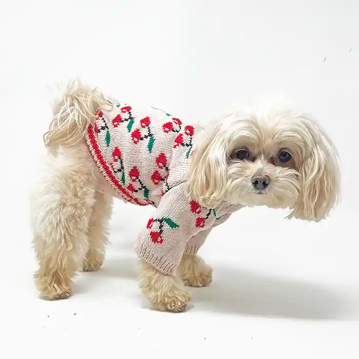 Cherry Delight Dog Sweater