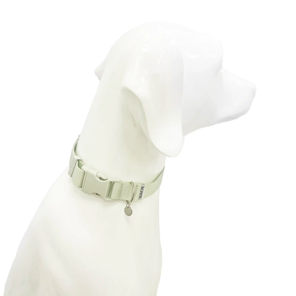 Amore Dog Collar in Mint Green