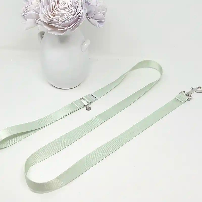 Amore Dog Leash in Mint Green