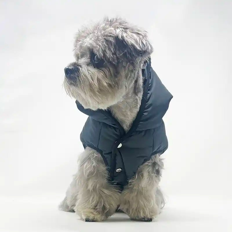 BOSS Dog Padded Vest