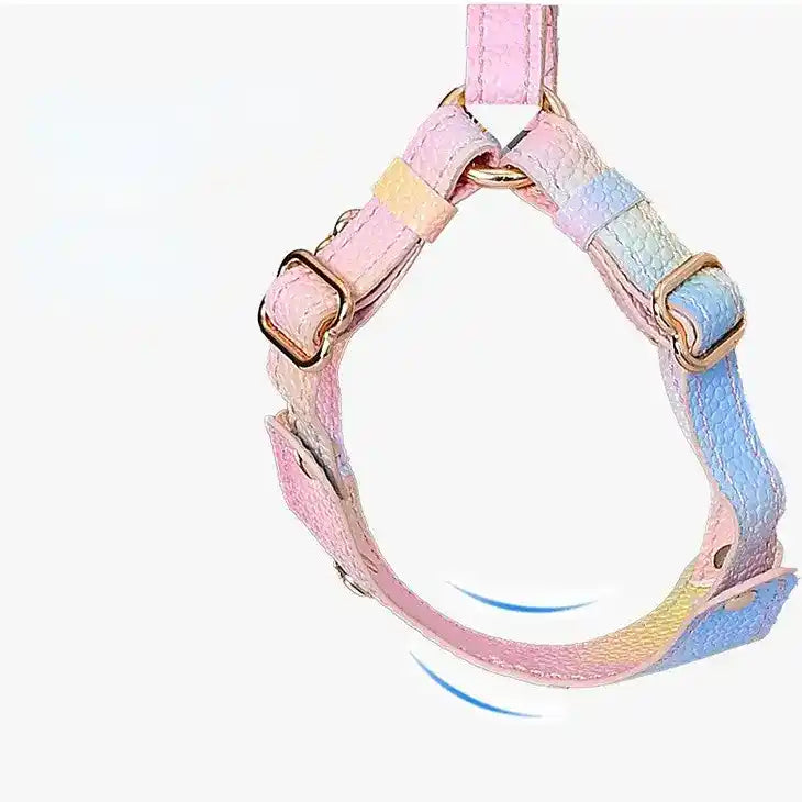 Ombre Vegan Leather Harness & Leash Set