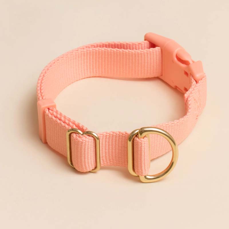 Pack Collar