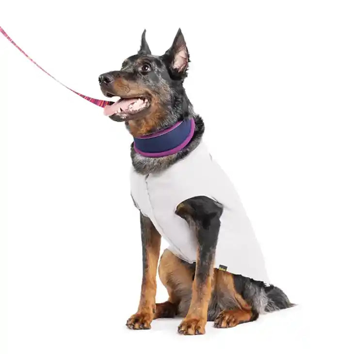 Sun Shield Dog Shirt