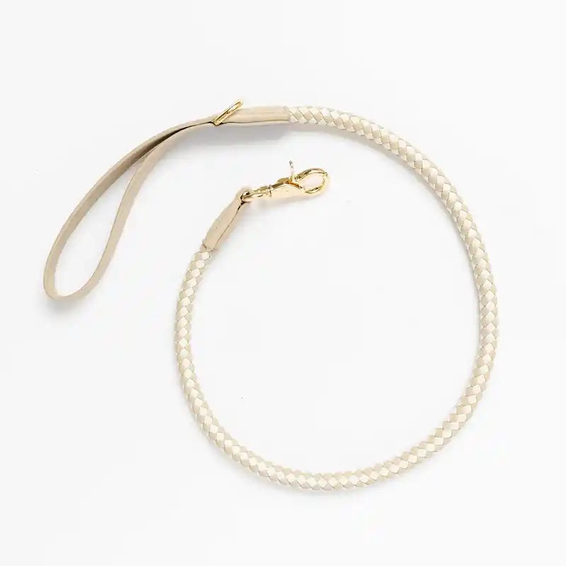 Deluxe City Dog Walking Kit