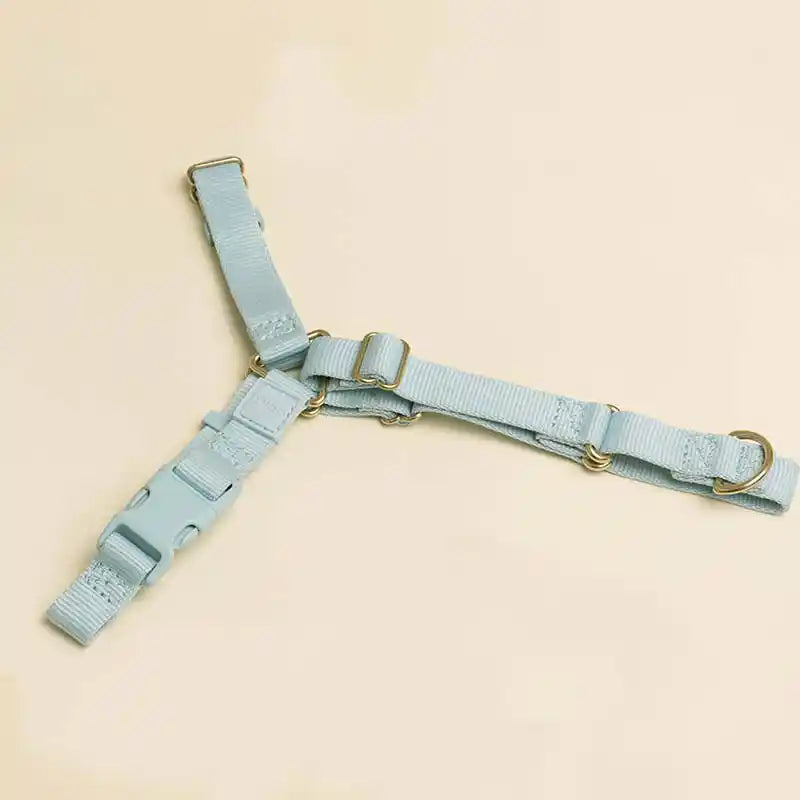 Roam Harness